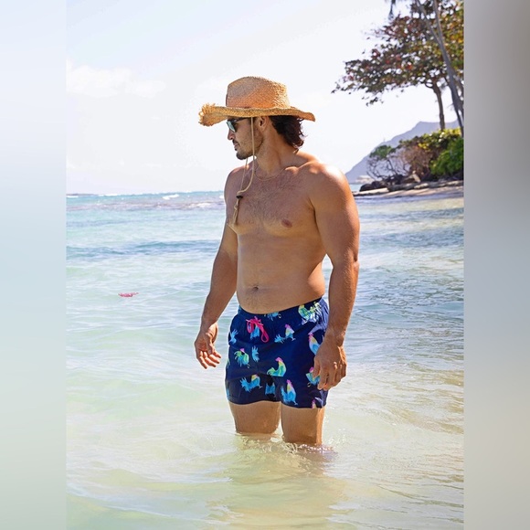 Chubbies classic swim trunks in ‘The Fowl Plays’ print. 5.5 inch inseam. NWT! - Picture 6 of 7